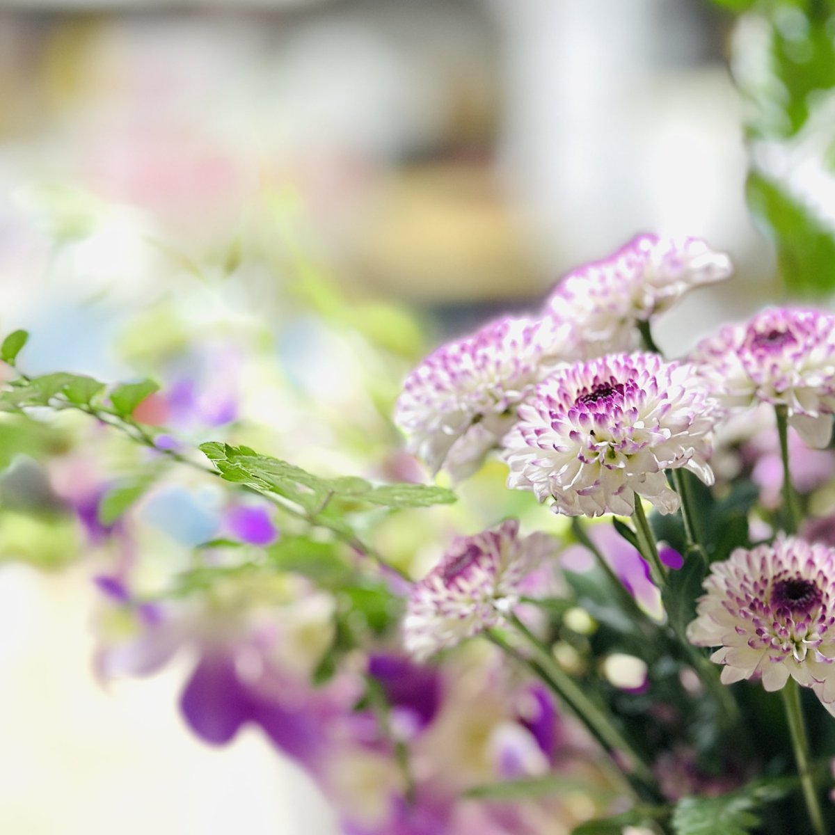 室蘭東町のフラワーショップえいわえんです。皆様いかがお過ごしでしょうか？春も素敵な時間をお花とともに過ごしましょう。