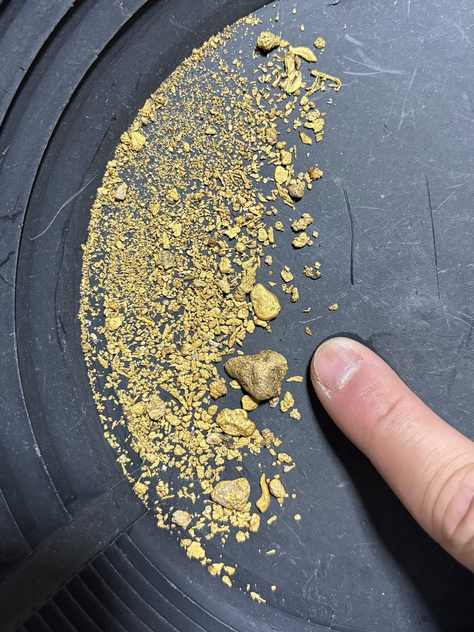 砂金　150粒前後 趣味の砂金採り on X: 