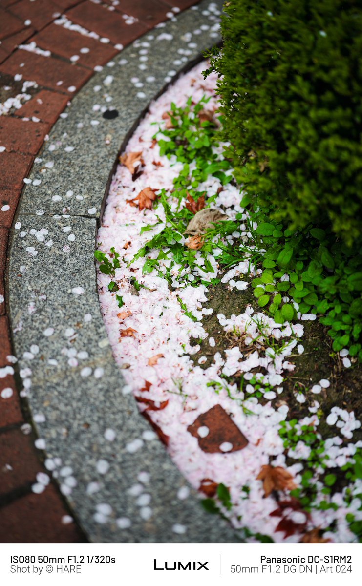 ascoeur9's tweet image. #digitalgarbage