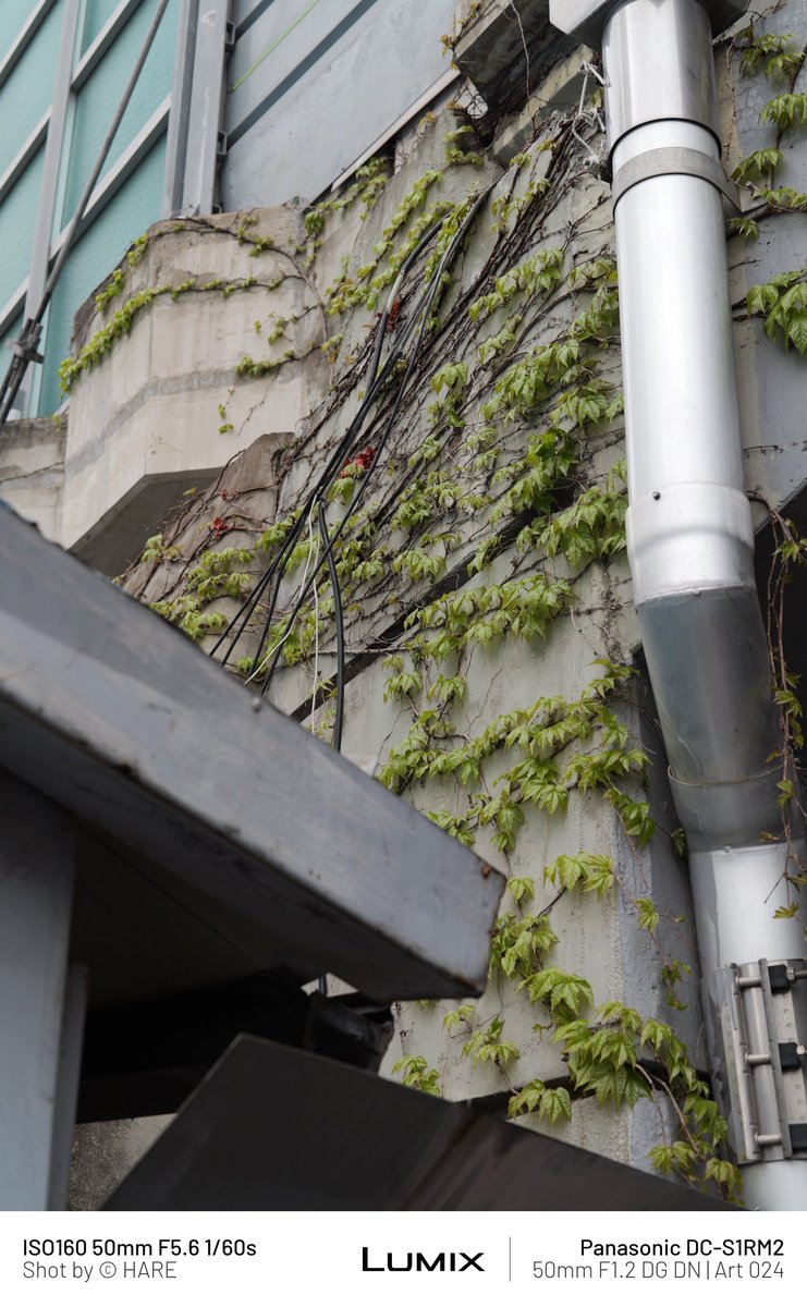 ascoeur9's tweet image. #digitalgarbage