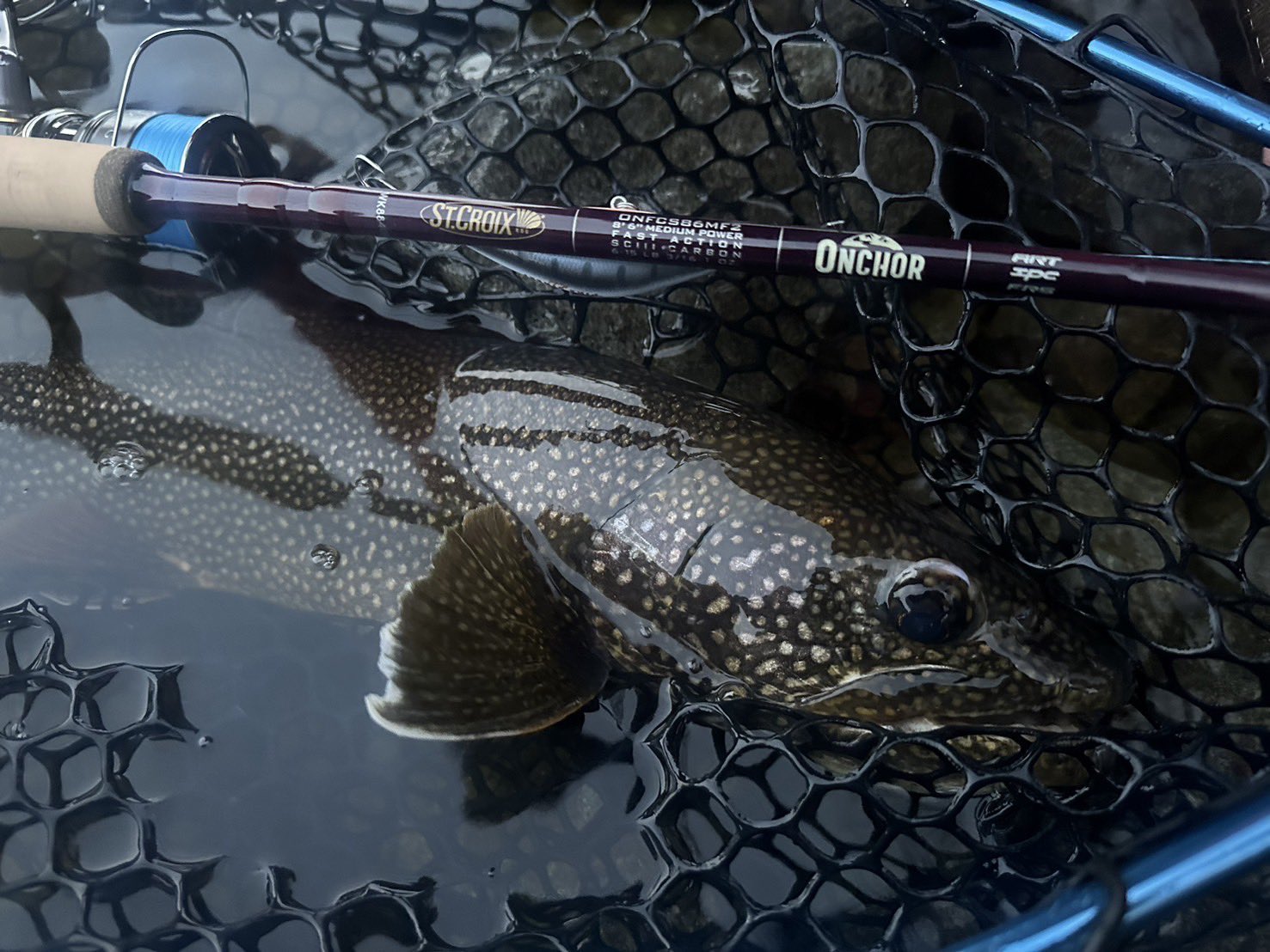 St. Croix Rods Japan (@StCroix_Japan) / X St. Croix Rods Japan (@StCroix_Japan) / X