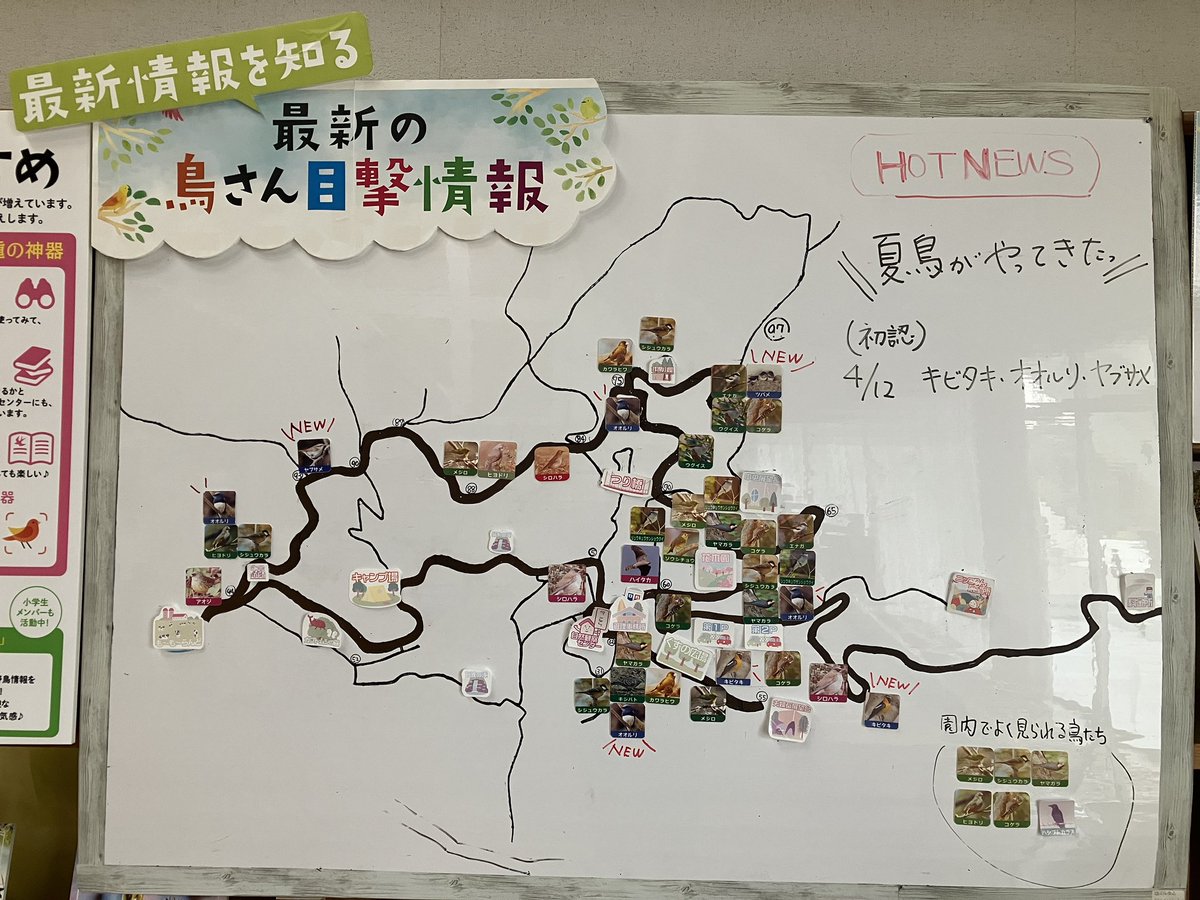 🐤野鳥情報更新しました🐤

いよいよ夏鳥到来です！
4月12日同日に
オオルリ
キビタキ
ヤブサメ
油山にて初認です♪

＃油山
＃野鳥