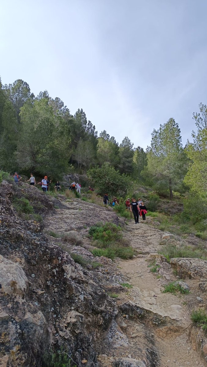 📸 Vos compartim aquestes imatges de la marxa senderista d'ahir diumenge en Novetlè gaudint per Sant Dídac i el Portet!!

👀 Un dia esplèndid en el qual vam poder experimentar la meravella de vistes de tota la comarca i de la natura que ens envolta. 
😍Gràcies per participar!