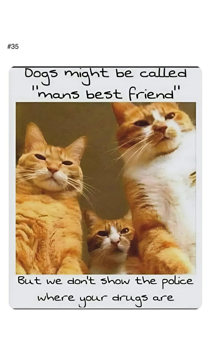 Winalien's tweet image. 😂