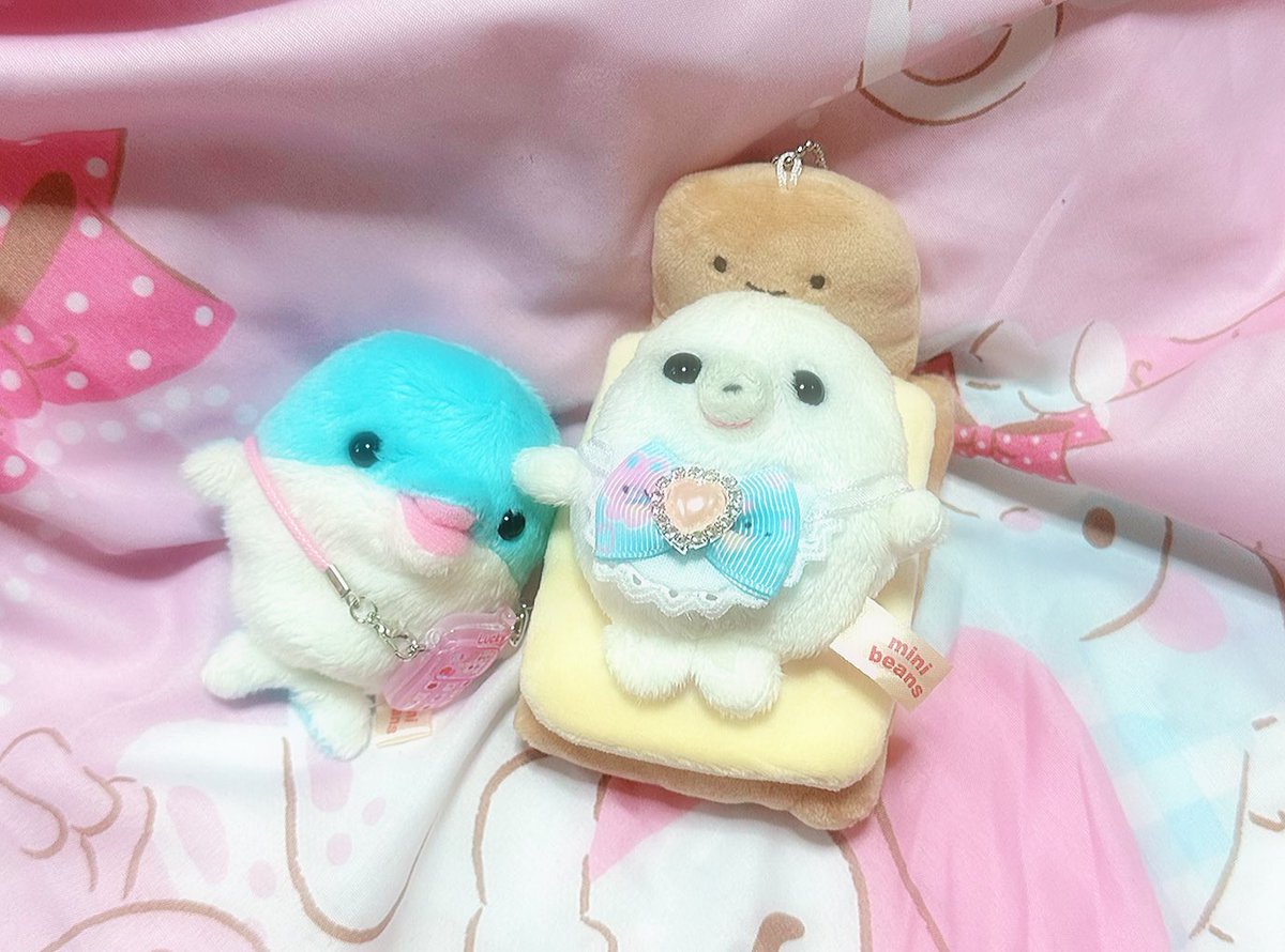 あざらしさんにスタイとベッド、イルカさんにスマホをプレゼント🐬

あざらしさん相方に「もち」と名付けられましたꉂꉂ(ˊᗜˋ*)

 #ぬい撮り