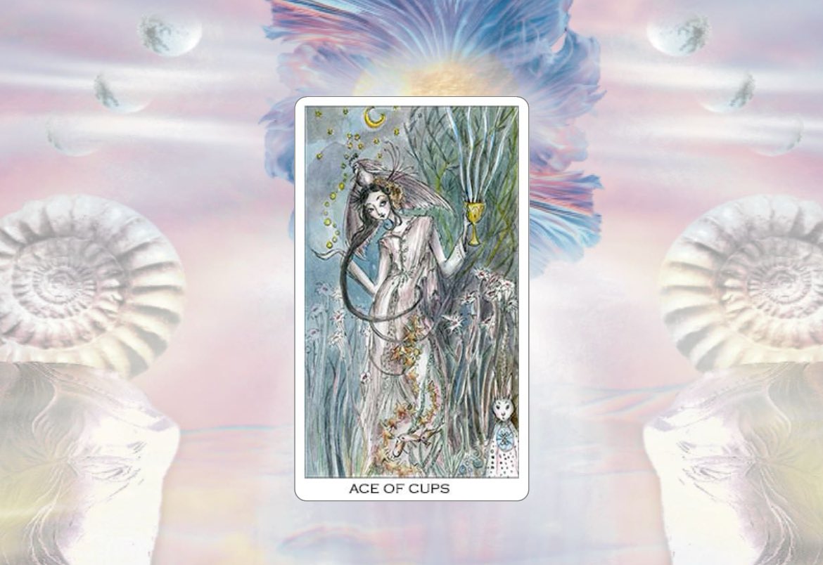 Mini reading 🍆🥥

“ คุณจะได้รับความรักเมื่อคุณมองเห็นความรัก ”

พิมพ์ 222  เพื่อรับความรัก

มันคือเรื่องธรรมชาติ  ถ้าคุณมองเห็นสิ่งใดคุณก็จะได้รับสิ่งนั้น ความรักก็เช่นเดียวกัน หากคุณมองออกว่าคุณมีความรักแล้วคุณเป็นยังไง มองออกว่าความรักมันเป็นแบบไหน