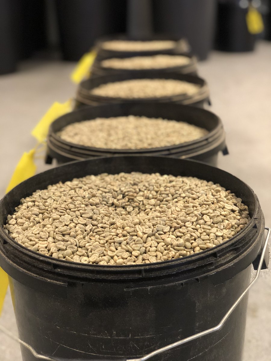 Happy Monday! All lined up ready for us to work our magic. Turning this into liquid gold