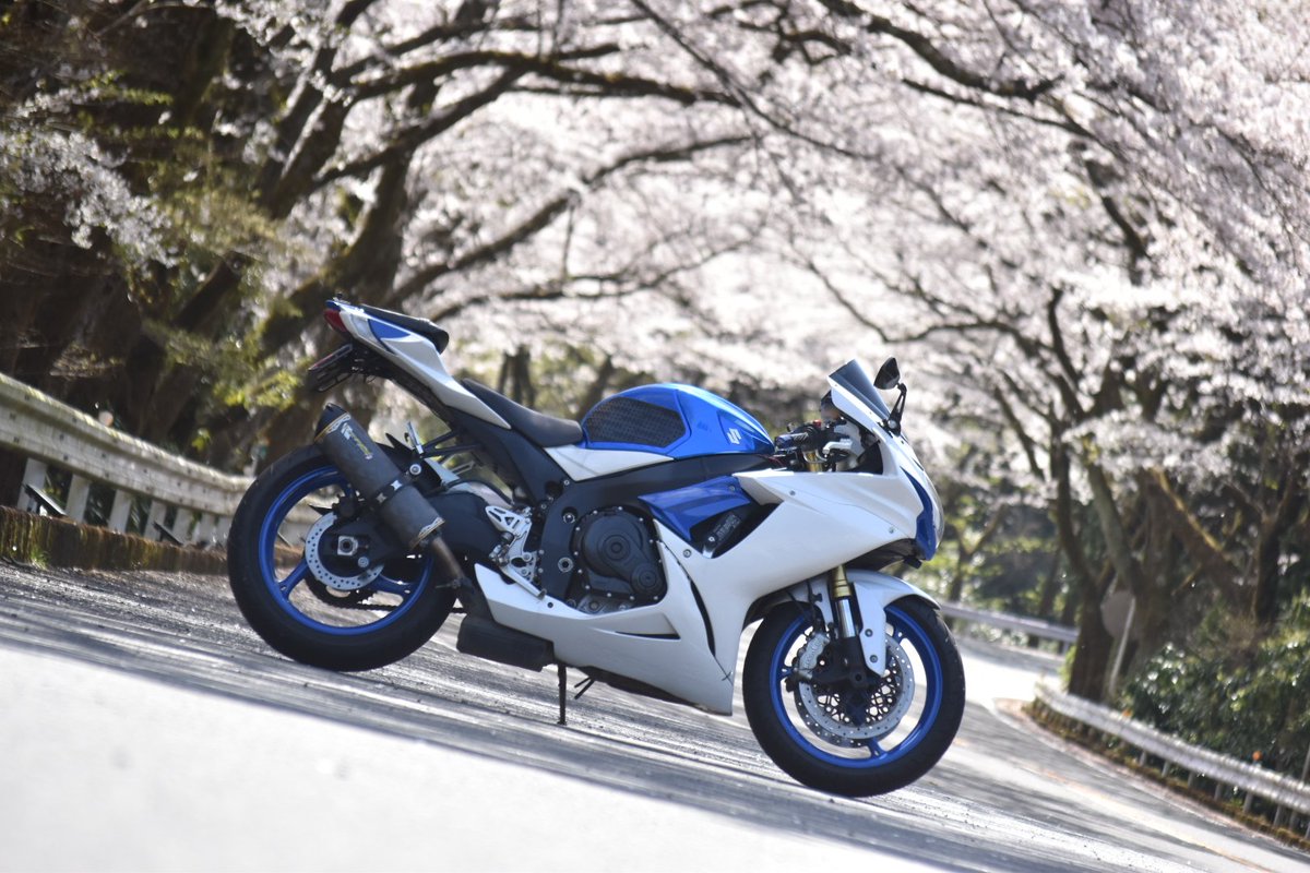 【Toto Rider】 彩の国crew 元日本一周勢 23-24 tweet media