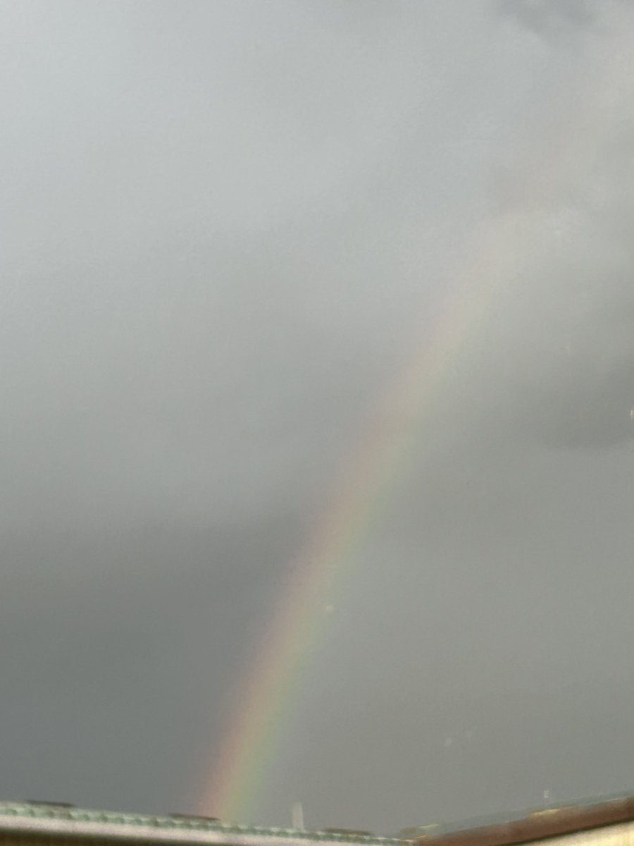 虹だー🌈