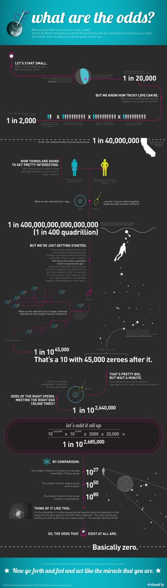 "Life on Earth started about 3.5 billion years ago. Imagine all the chance encounters that led to you. Imagine all the close calls. You are quite a miracle."