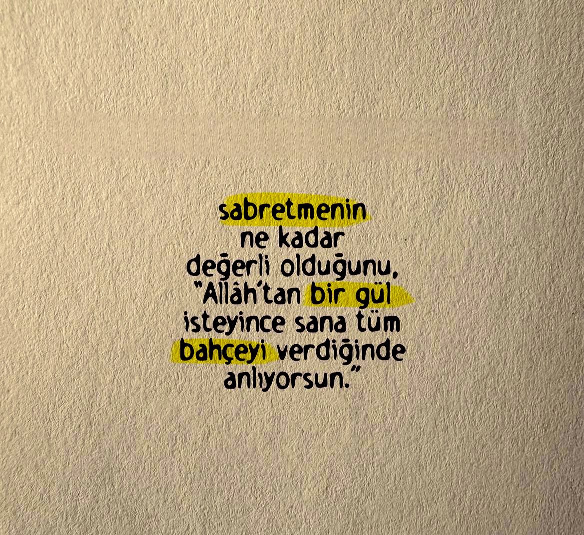 Saniye Aylin Güneş (@gunessaniyee) on Twitter photo 