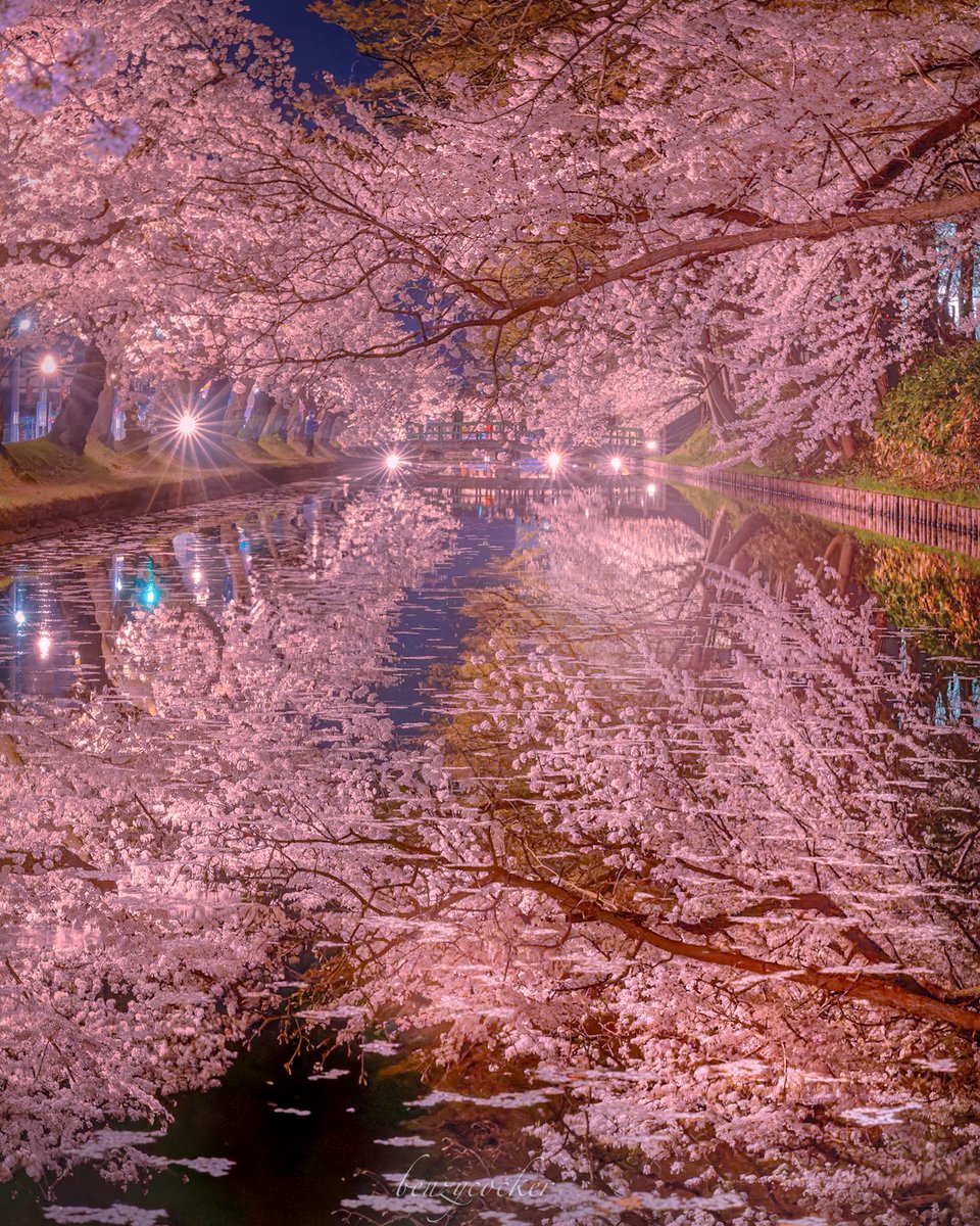 お堀に綴る二つの幻想春世界