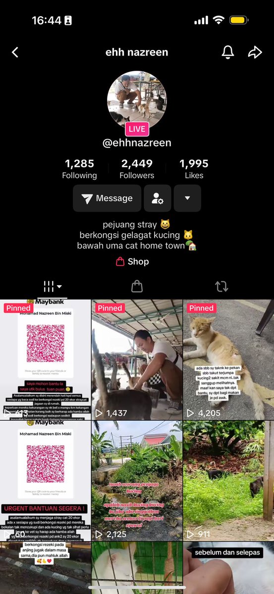 chsannn_'s tweet photo. Korang kalau ada rezeki lebih boleh tolong rescuer ni tak? Ada 20 ekor stray cats dia rescued and some of them tengah sakit sekarang dan dia sangat memerlukan bantuan dari segi kewangan untuk rawat kucing2 dia. Boleh follow account dia dekat tiktok- https://t.co/24B6w9DgIn