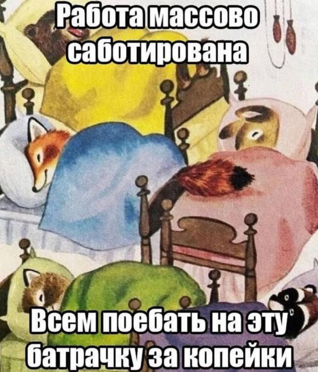 саша которая софа tweet media