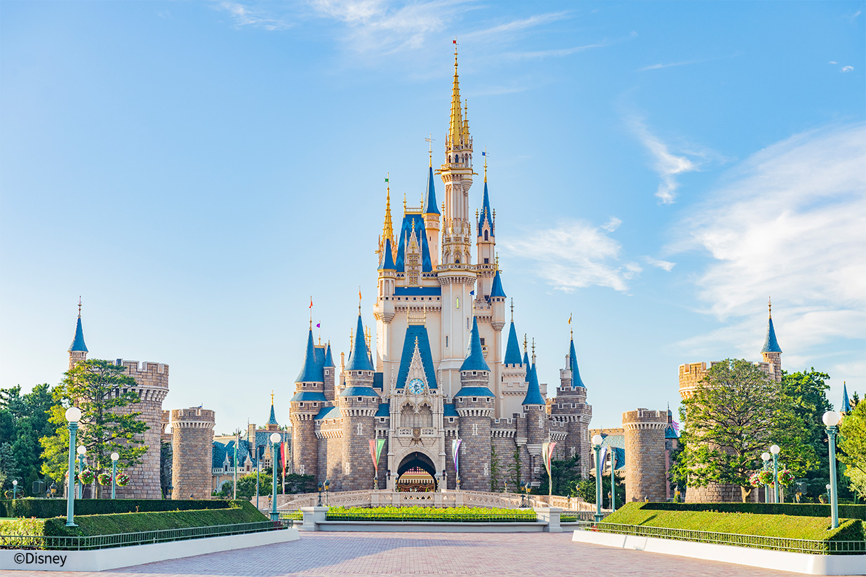 未使用☆東京ディズニーランド パナソニックブランド公式 on X: 