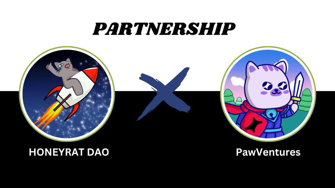 Honey rat Alpha (@honeyratdao) on Twitter photo We’re thrilled to announce our partnership with <a href="/Paw_Ventures/">PawVentures 🐾</a> !
Keep an eye out for more thrilling collaborations with us and also join our discord for more details! 👨🏻🍳 We’re thrilled to announce our partnership with <a href="/Paw_Ventures/">PawVentures 🐾</a> !
Keep an eye out for more thrilling collaborations with us and also join our discord for more details! 👨🏻🍳