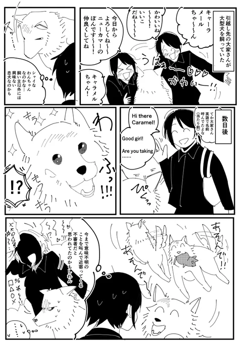 犬も言葉がわかってるんだなと思った瞬間 