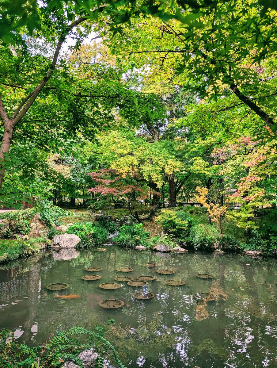#gardens #kyoto #KYOTOGRAPHIE #Japan #japanphoto #photooftheday #photographie #photography #photos #travelphotography #Travel #traveltheworld #VOYAGE_into_X_JAPAN #Voyage #GoodMorningEveryone