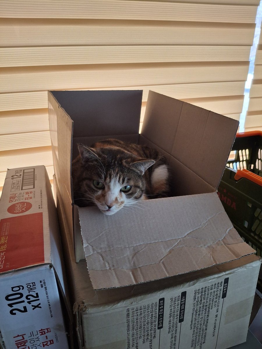 세상에 모든 박스를 사랑하심 ㅡㅡ