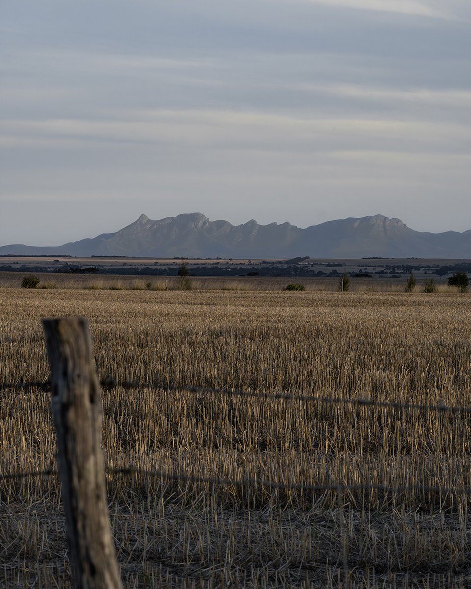 gointerstate's tweet image. Is this the best rest stop in WA? ⁠
⁠
Views of the Stirling Range and incredible sunset. Stop in on your way to the National Park. 🌲⁠
⁠
📍Louis&apos; Lookout Rest Area⁠
⁠
gointerstate.com.au
