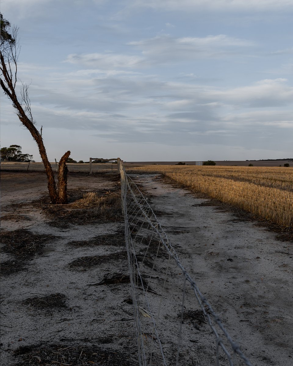 gointerstate's tweet image. Is this the best rest stop in WA? ⁠
⁠
Views of the Stirling Range and incredible sunset. Stop in on your way to the National Park. 🌲⁠
⁠
📍Louis&apos; Lookout Rest Area⁠
⁠
gointerstate.com.au