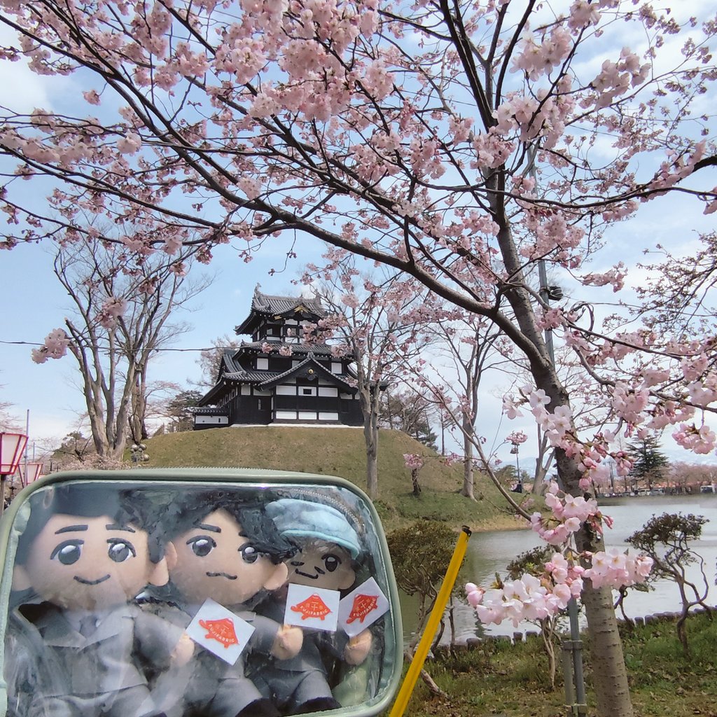 beaton3F's tweet photo. 「ありがとうって伝えなきゃ!伝えたい!」って慌てて急いで私が幸せになった想い出のグッズたちをかき集めて並べたよ!一部だけど。匂いも味も手触りもこれから共にあるから、私はもう泣いてないよ。安心して。相思相愛持ちつ持たれつ、ゆるゆるね🦑先週の高田城桜🌸
#フジファブリック 🗻
#FABch 👀 https://t.co/o6hEz0SbZ5