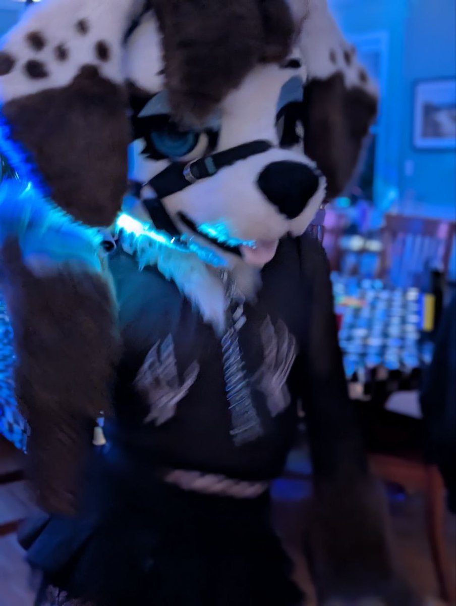 Cunt bitch mode
Party puppy