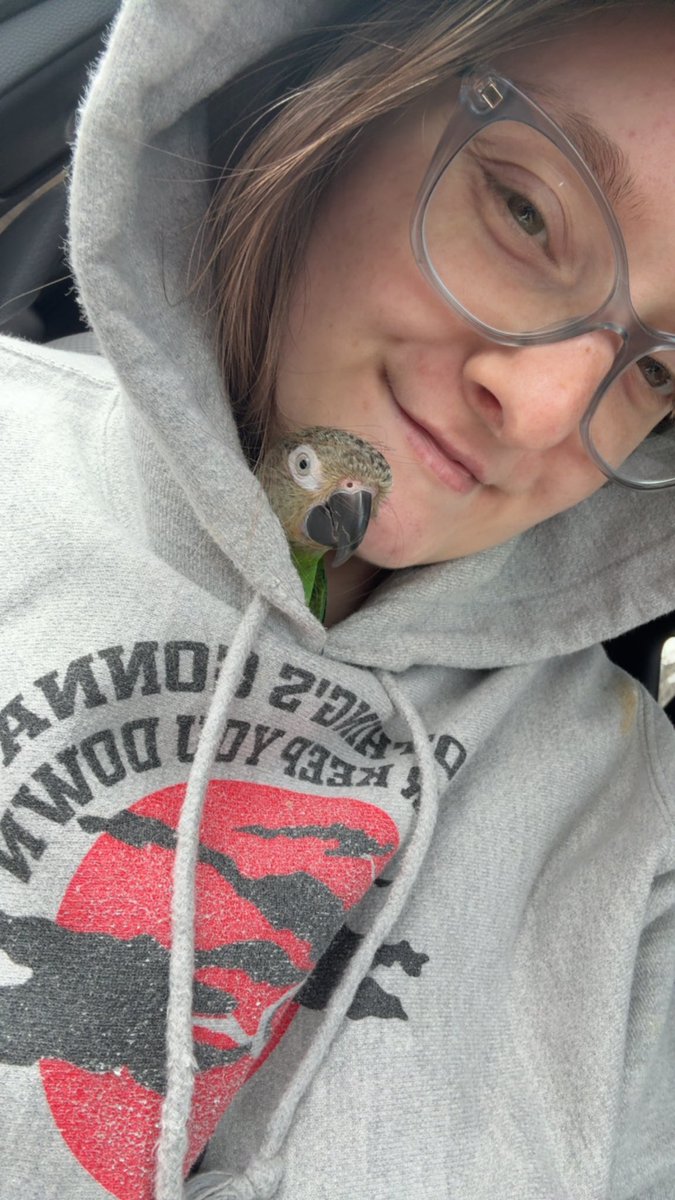 HWald180's tweet image. Penny says “hi”