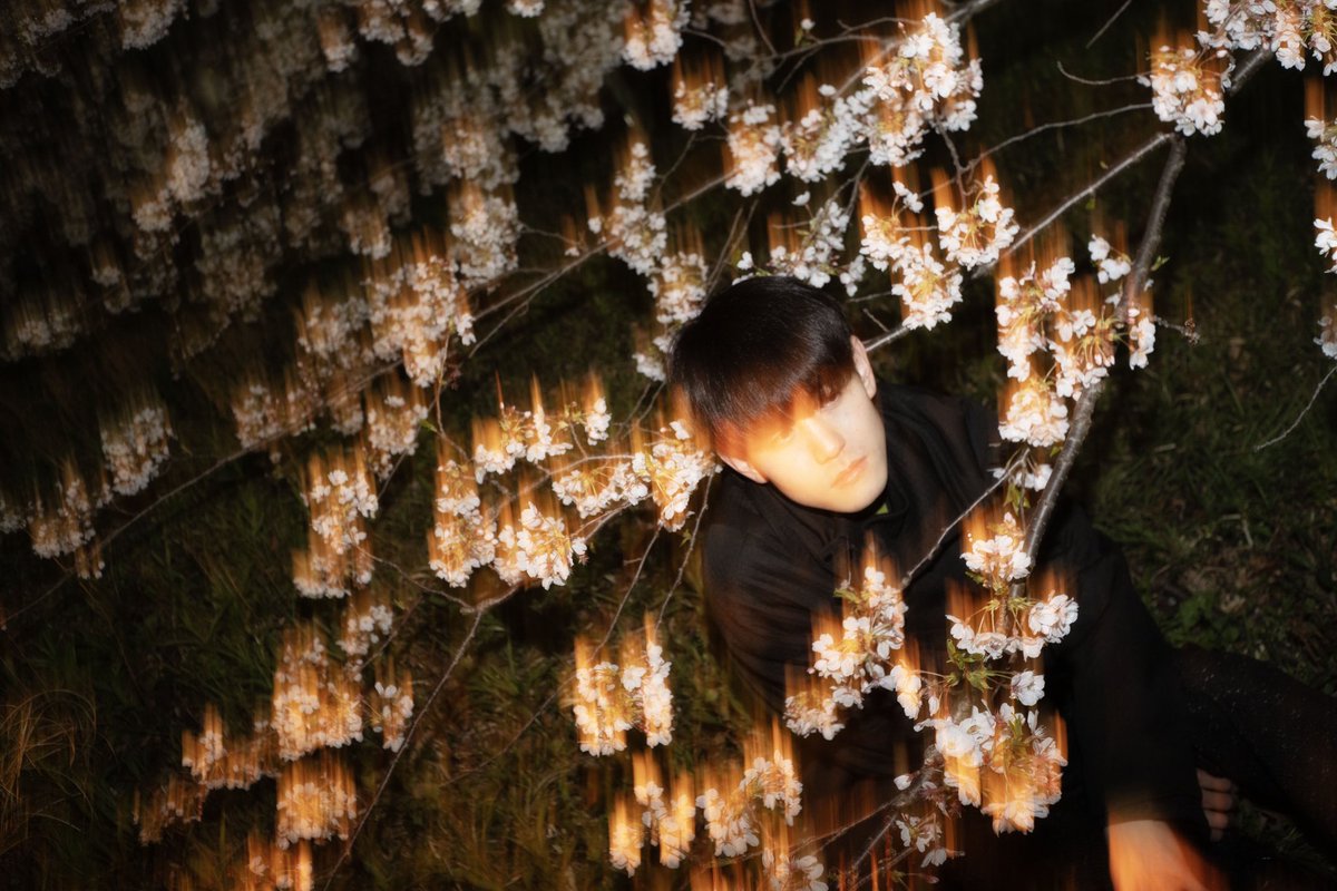 a_bell_ringer's tweet photo. 桜×メンズポートレート https://t.co/uVI2N8w4Hg