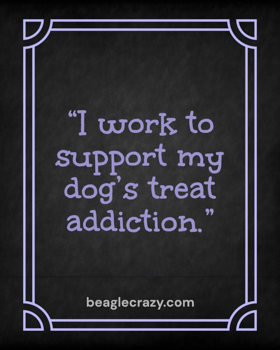beaglecrazyshop's tweet image. I don’t work for me—I work to fund my dog’s ever-growing treat addiction.
#DogParentProblems #BeagleAddict #PetHumor