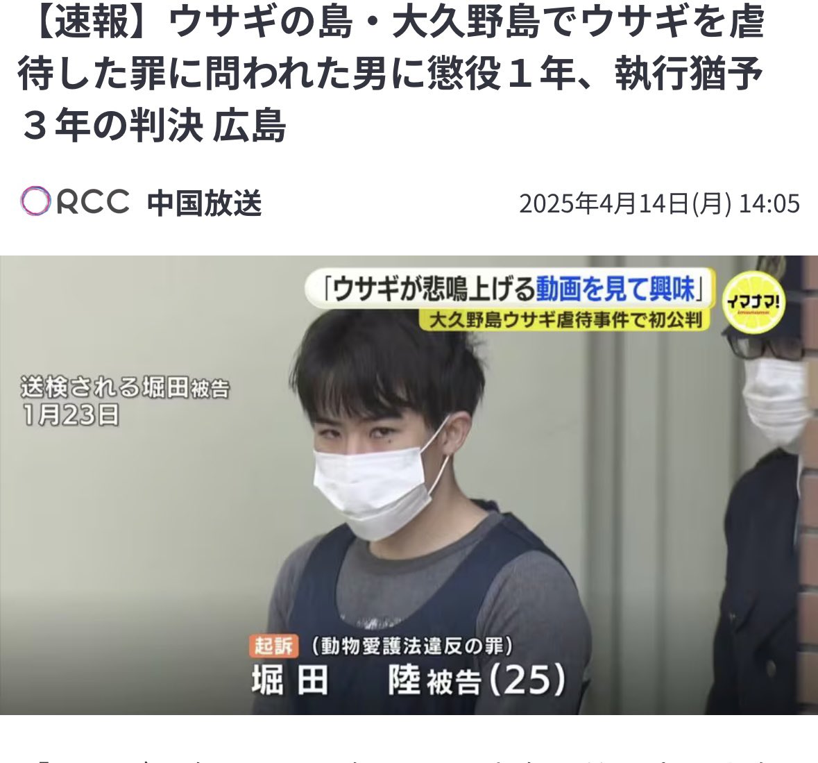redtabby_lucky's tweet photo. 竹原市大久野島のウサギを100匹近く虐待した #堀田陸 被告(25)

懲役1年　執行猶予3年の有罪判決。

執行猶予いらないから...
#動物愛護法違反
#動物虐待ダメ絶対 https://t.co/Y6Ehm2pLi7