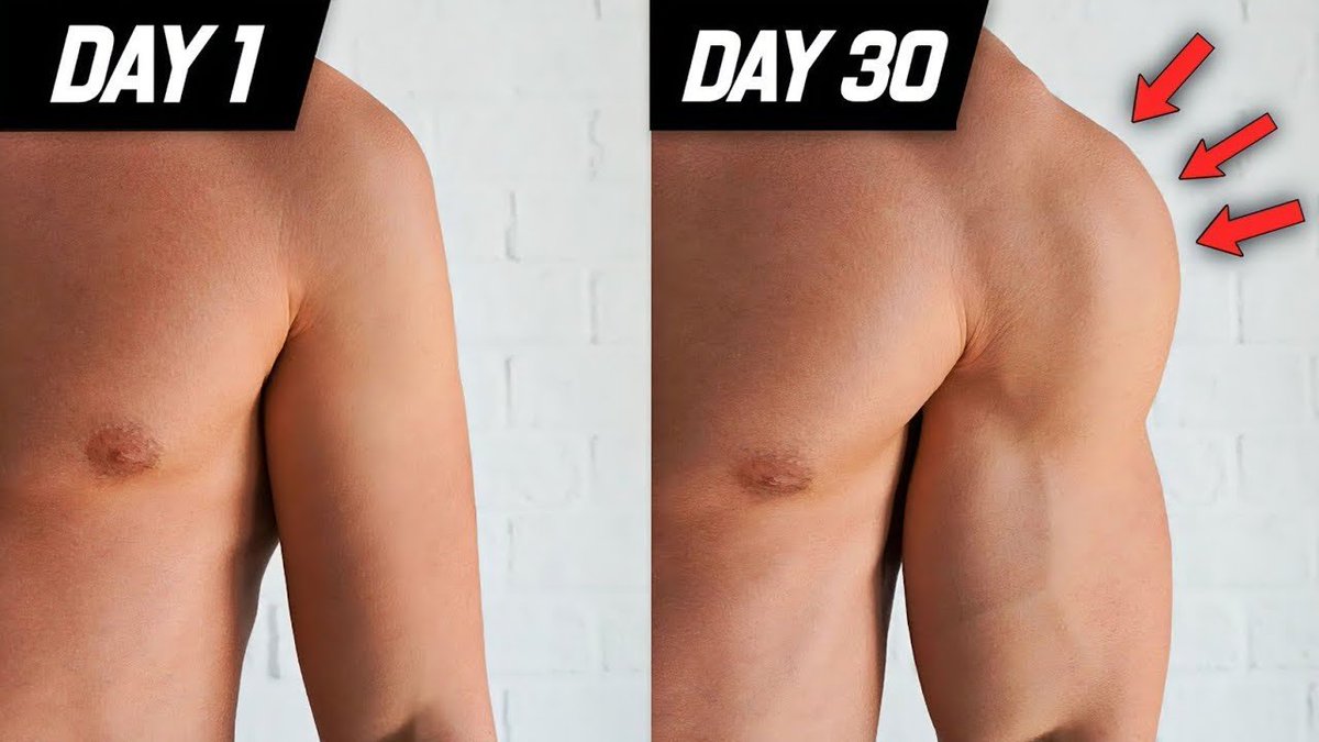 Clipstobeviral's tweet photo. 6 Killer Shoulder Workouts:

-Thread- https://t.co/s9q1O41eBs
