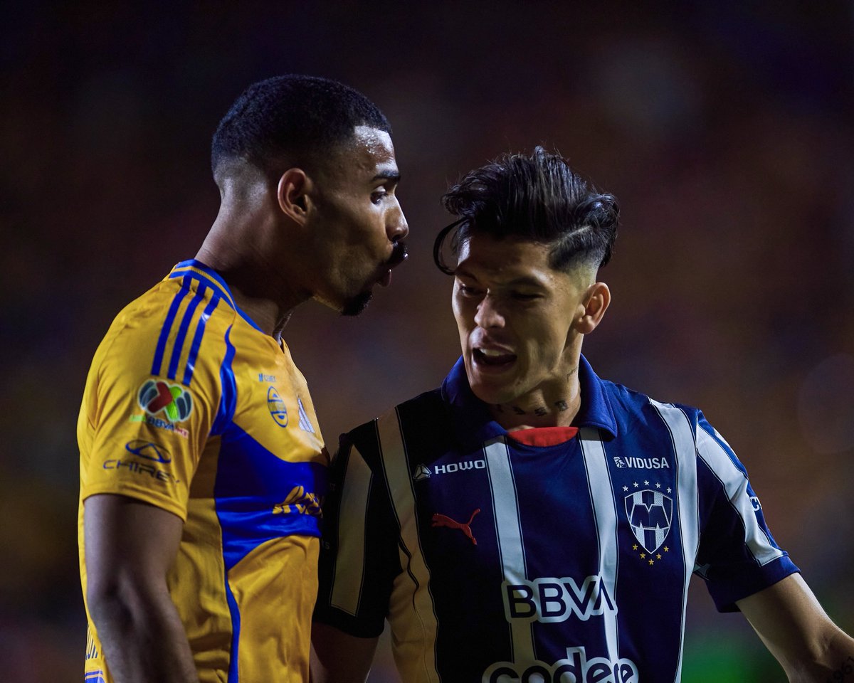 🗣️ ¡Perfil Tigre!