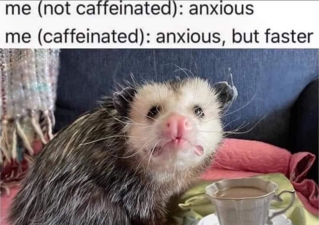 WholesomeMemes (@wholesomememe) on Twitter photo 