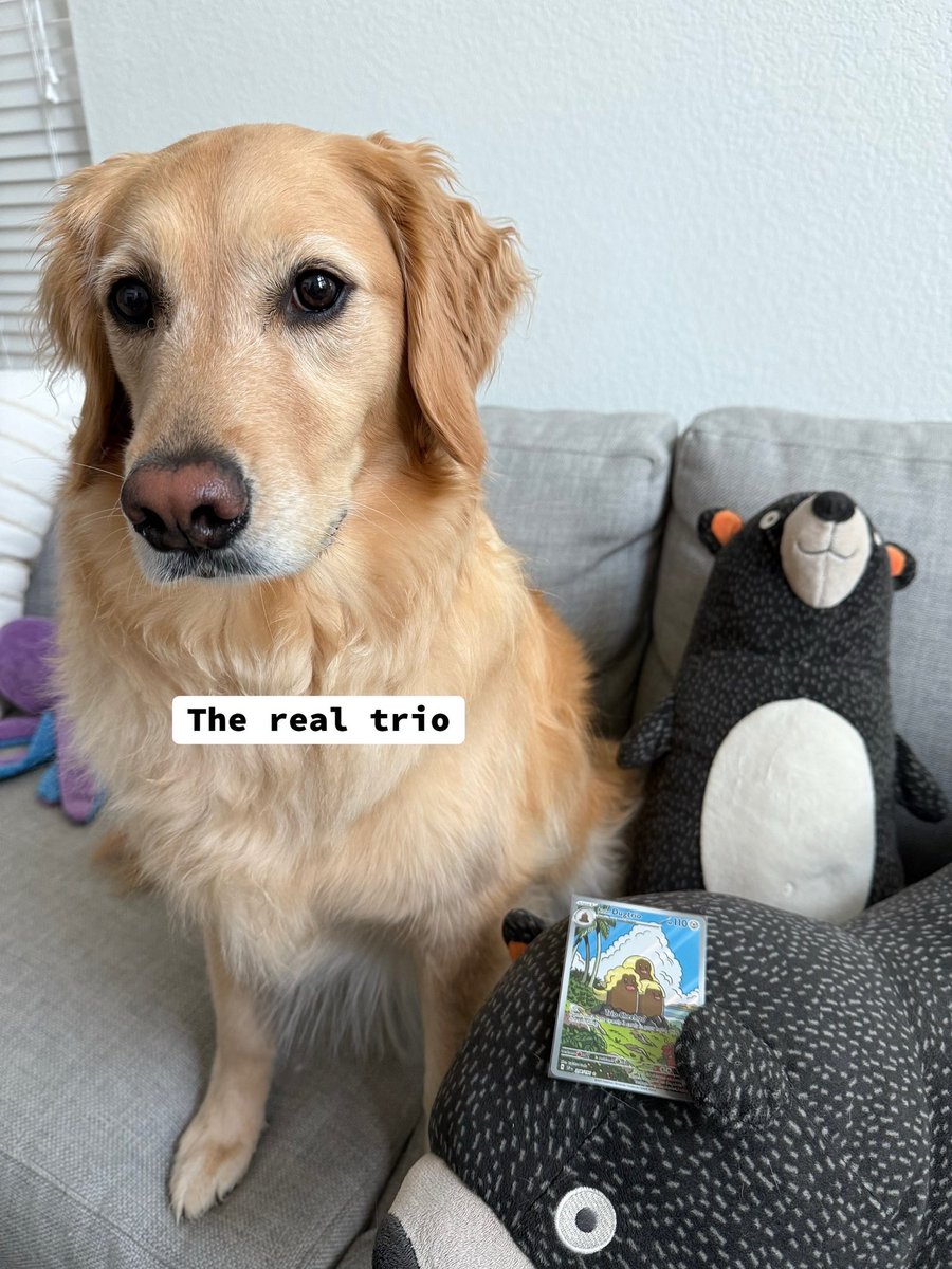 WarrenCollects tweet media