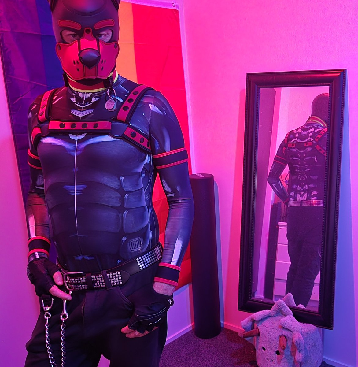New Suit for clubbing on the prowl Friday nights.
#Gaypup #NZGay #GayNZ