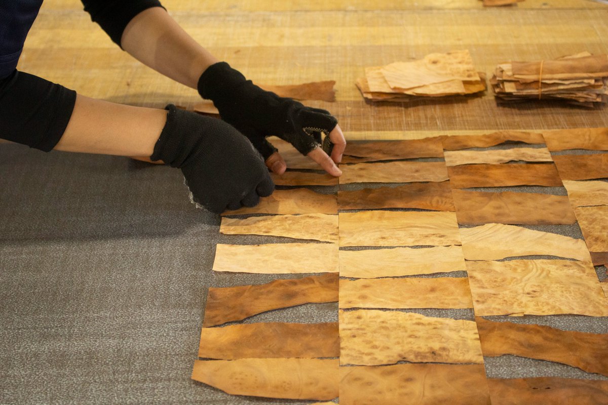 foresterior's tweet photo. Wood Brick シリーズ
ツキ板の端材を活用したアップサイクル建材”Wood Brick”こちらはクスの杢を使ったパターンです。クス独特のうねった杢目に沿った裂け具合が印象的です。👍✨

サンプルはTECTURE又は、HPから👏

#サスティナブル #アップサイクル #建材 ＃TECTURE ＃大和ツキ板 https://t.co/ylygMKMtSq
