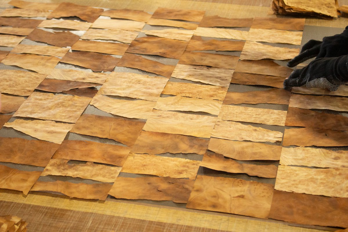 foresterior's tweet photo. Wood Brick シリーズ
ツキ板の端材を活用したアップサイクル建材”Wood Brick”こちらはクスの杢を使ったパターンです。クス独特のうねった杢目に沿った裂け具合が印象的です。👍✨

サンプルはTECTURE又は、HPから👏

#サスティナブル #アップサイクル #建材 ＃TECTURE ＃大和ツキ板 https://t.co/ylygMKMtSq