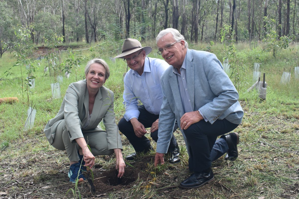 Shayne Neumann (@shayneneumannmp) on Twitter photo Delighted to have Environment Minister <a href="/tanya_plibersek/">Tanya Plibersek</a> in Ipswich today to announce a re-elected Albanese Labor Government will deliver $1.2m to expand the Chuwar Koala and Native Fauna Conservation Park, rehabilitating land around the <a href="/Tivoli_Drive_In/">Tivoli Drive-in</a> Delighted to have Environment Minister <a href="/tanya_plibersek/">Tanya Plibersek</a> in Ipswich today to announce a re-elected Albanese Labor Government will deliver $1.2m to expand the Chuwar Koala and Native Fauna Conservation Park, rehabilitating land around the <a href="/Tivoli_Drive_In/">Tivoli Drive-in</a>