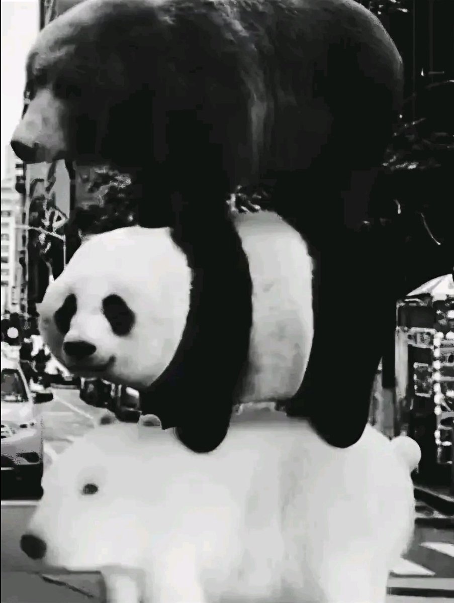 ✦━──✨️🔞Michelle The punk-girl🔞✨️─━✦ tweet media