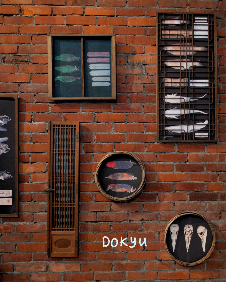 signifynathist's tweet image. This week, we look at an exhibit held in Japan at the end of 2024. It is an art installation by DOKYU, featuring selected SIGNIFY specimens that were framed in windows frames and other parts of previously abandoned buildings. For more, please click the link in our bio!