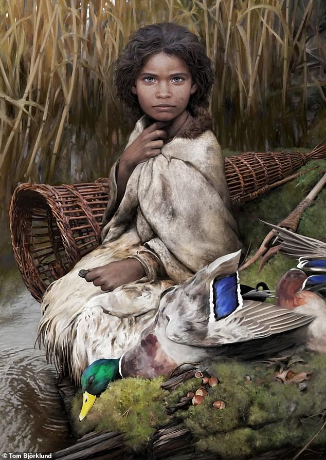 DNA analysis of ancient birch 'chewing gum' reveals it was chomped by a Danish hunter-gatherer with dark skin and blue eyes who dined on duck and hazelnuts 5,700 years ago... 

Thousands of years ago, a young Neolithic woman in what is now Denmark chewed on a piece of birch