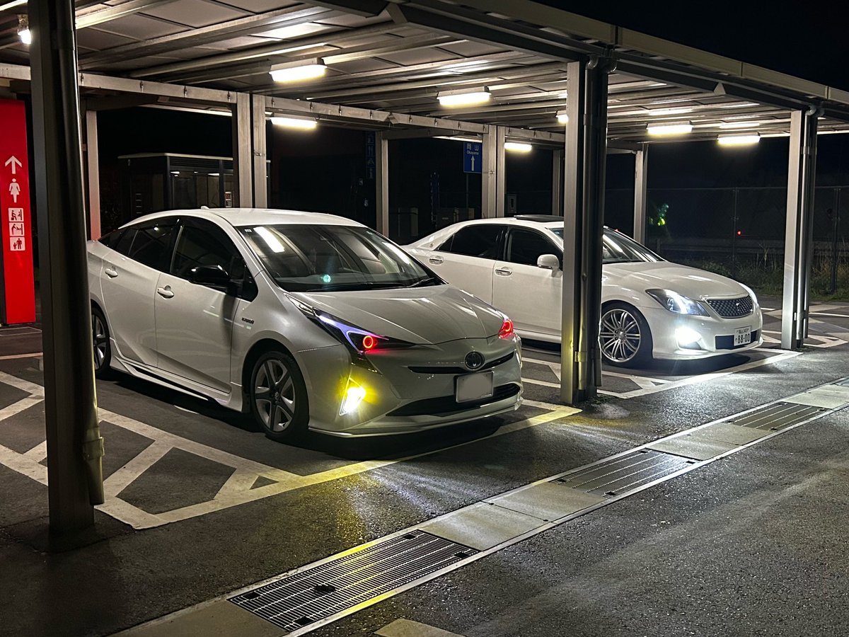 たまには夜遊びもええね