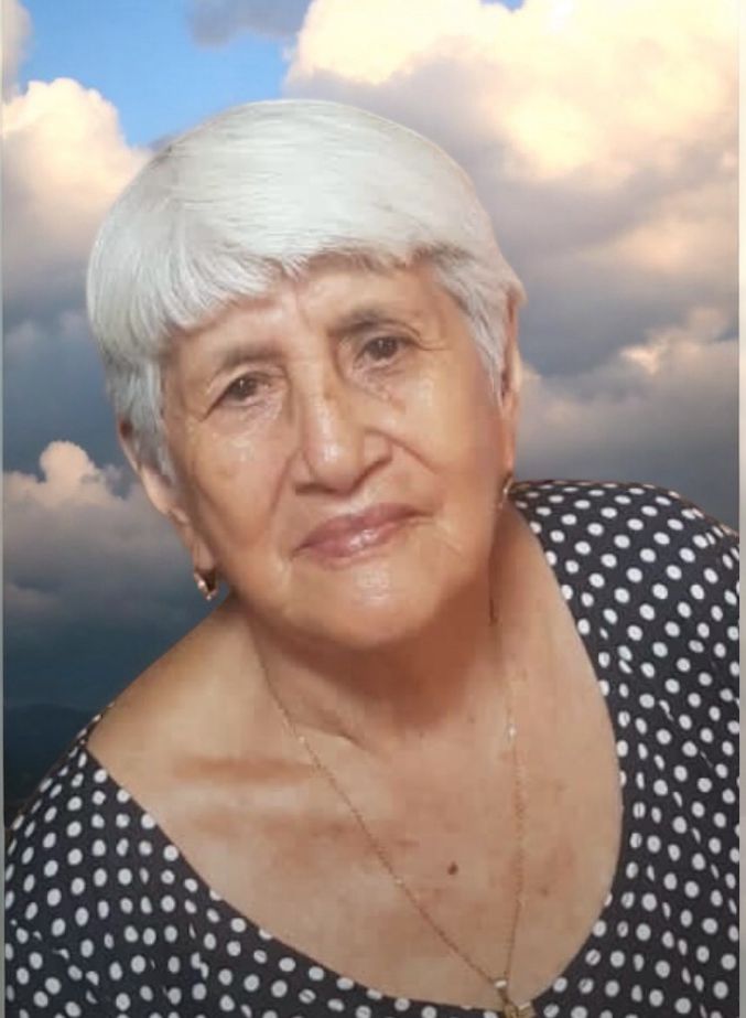 <a href="/DanielNoboaOk/">Daniel Noboa Azin</a> Mi mamita Judith García (90 años) desde lo alto está feliz.
Antes de fallecer, bendijo su imagen y aseguró su triunfo, mi hermana se lo dijo al Ministro de Salud en el Hosp. de Especialidades de Portoviejo.
Por favor, prioridad de su gobierno abastecer hospitales de medicina.