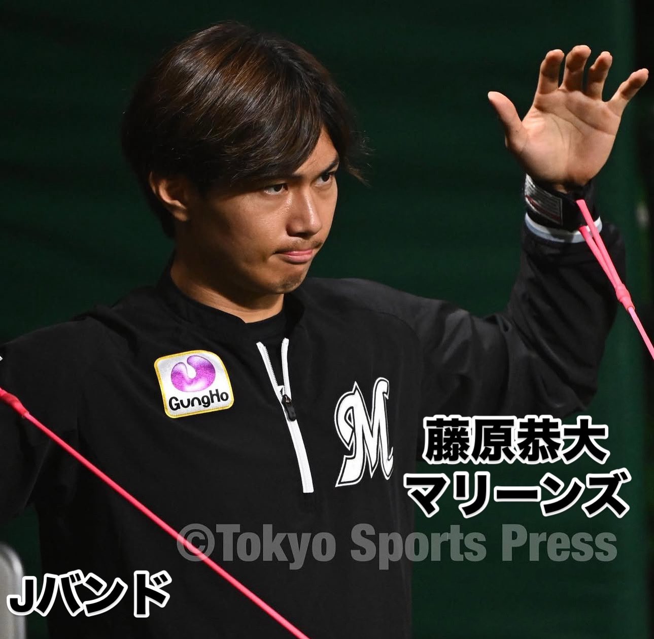 ベロプロ レジースミスベースボールジャパン 野球