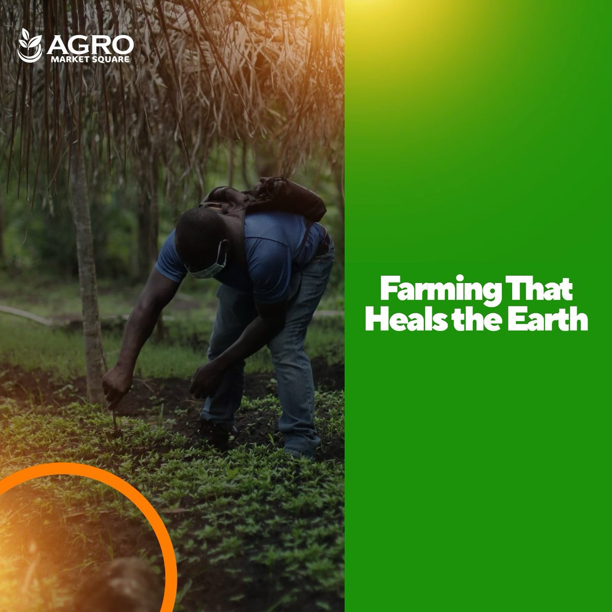 agromarketsquar's tweet image. Sustainable farming isn’t just about growing food—it’s about giving back to nature! 

At Agro Market Square, we connect farmers with responsible buyers, promoting ethical, eco-friendly farming practices. Let’s cultivate a greener future together! 

Join the movement today!