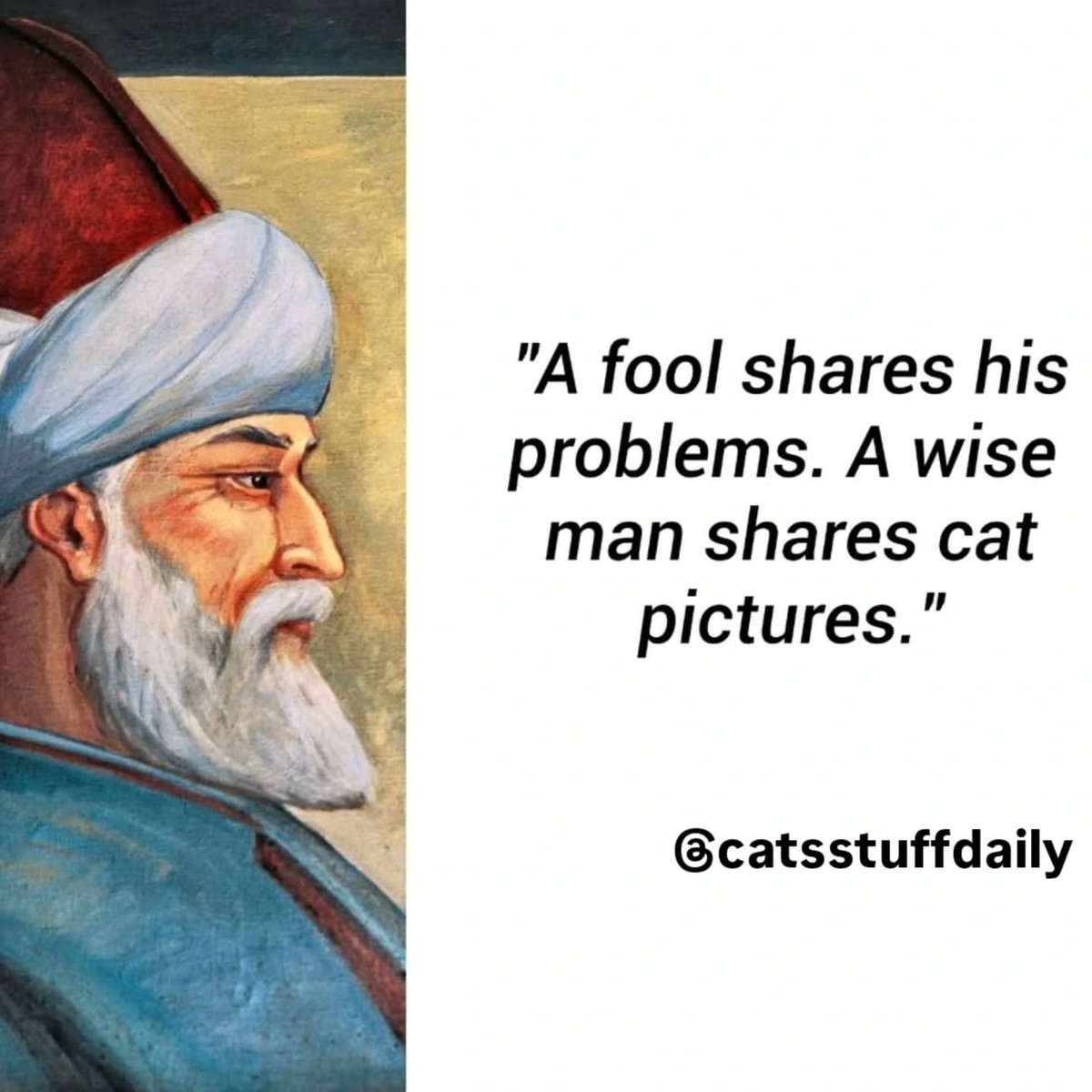 PunchingCat's tweet photo. the truest story i have ever read 🤯 https://t.co/oWvQiJ5Wsp