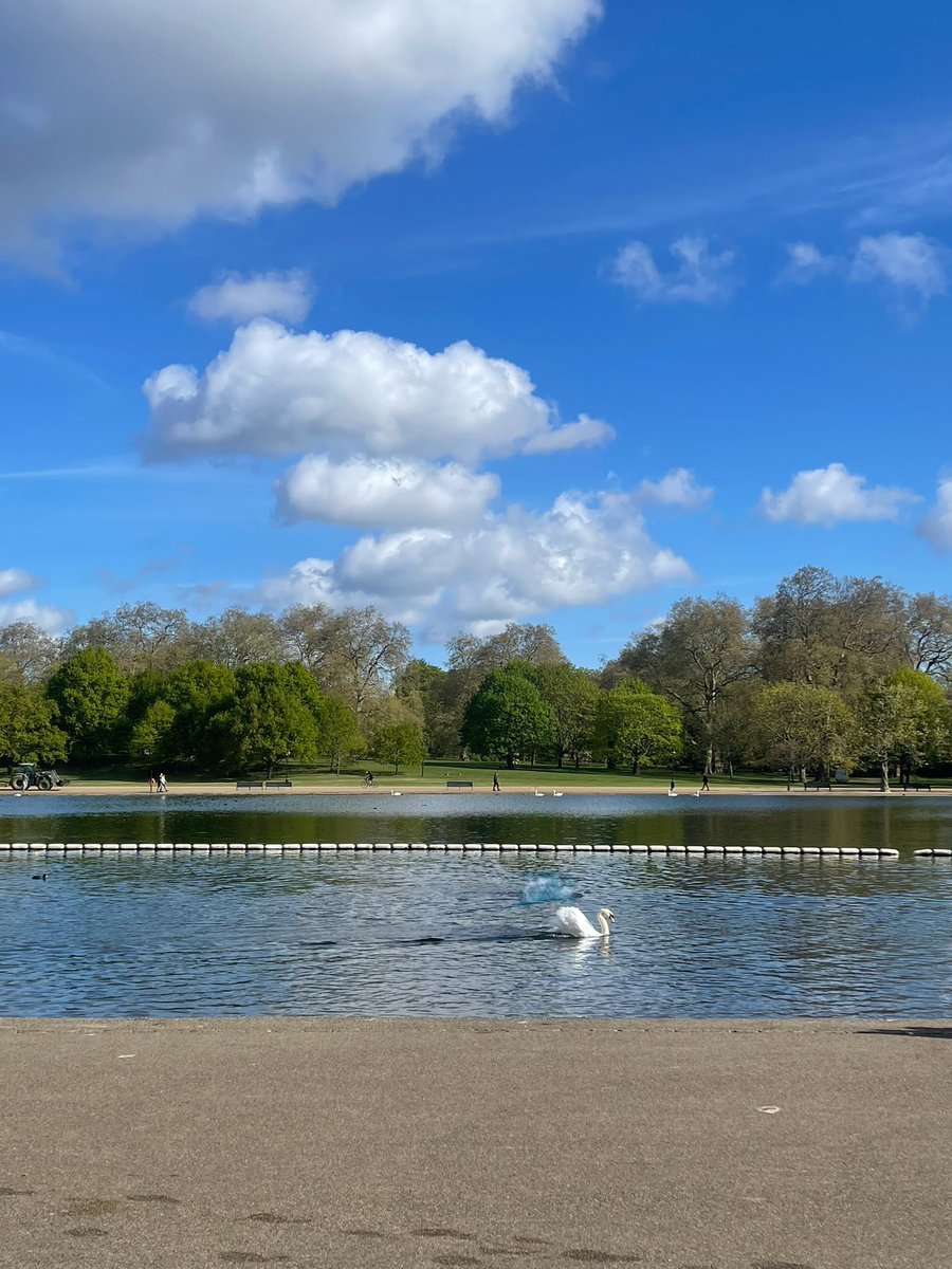 An early swim with the swans! #serpentine