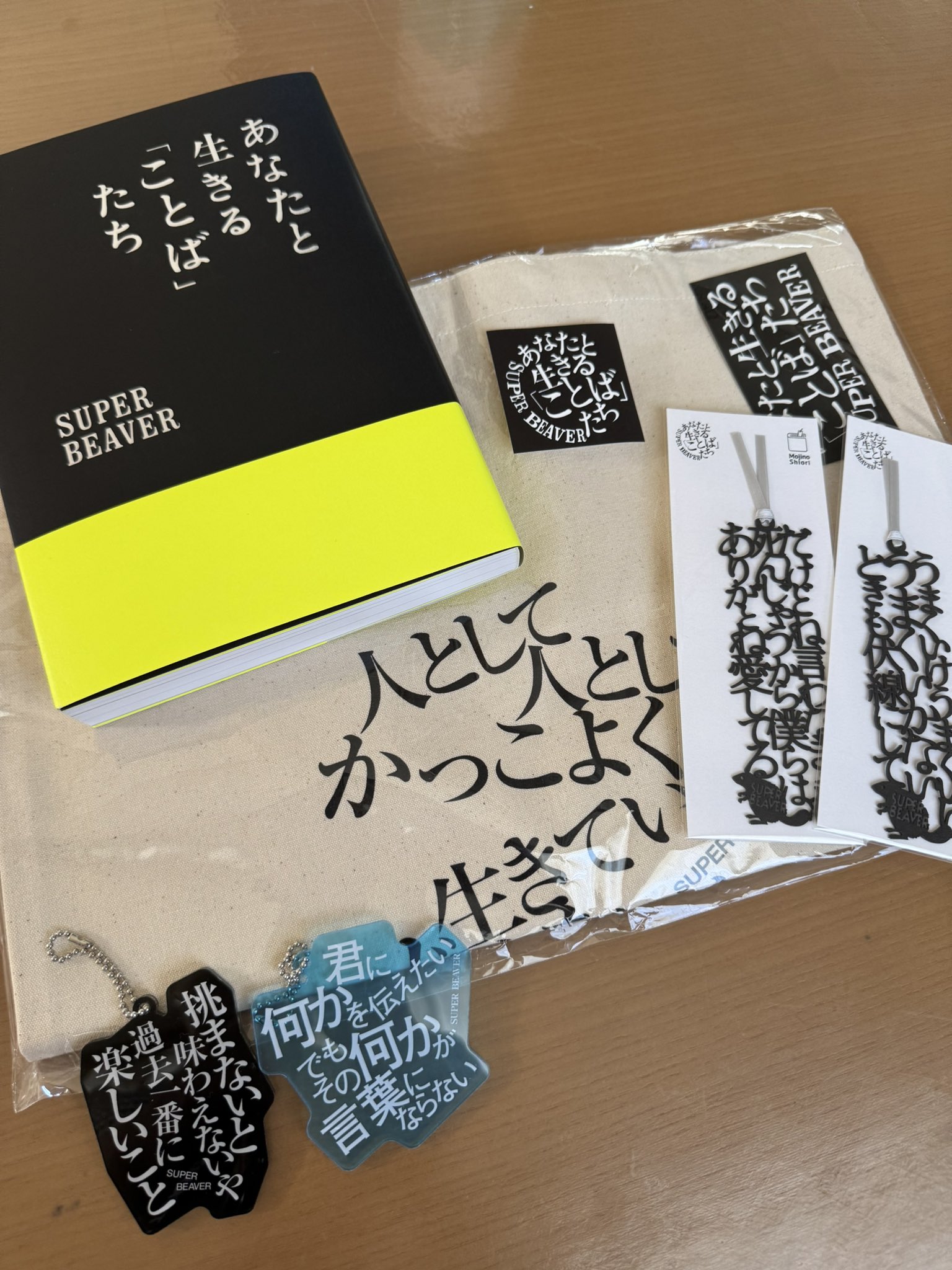 A N🦫✨✨✨ on X: 