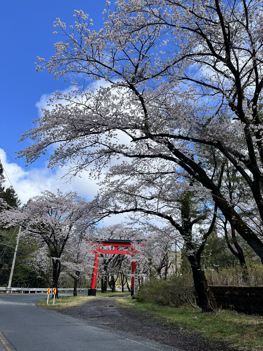 HATORImatt's tweet photo. 榛名神社⛩️一ノ鳥居

#榛名神社 https://t.co/pjU0FDXIwA